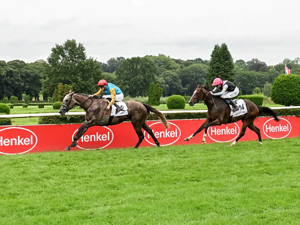 
Jockey Martin Seidl auf der Stute Erle beim Hauptrennen um den Henkel-Preis der Diana.