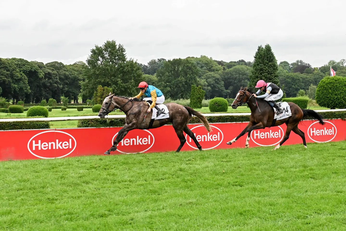 
Jockey Martin Seidl auf der Stute Erle beim Hauptrennen um den Henkel-Preis der Diana.